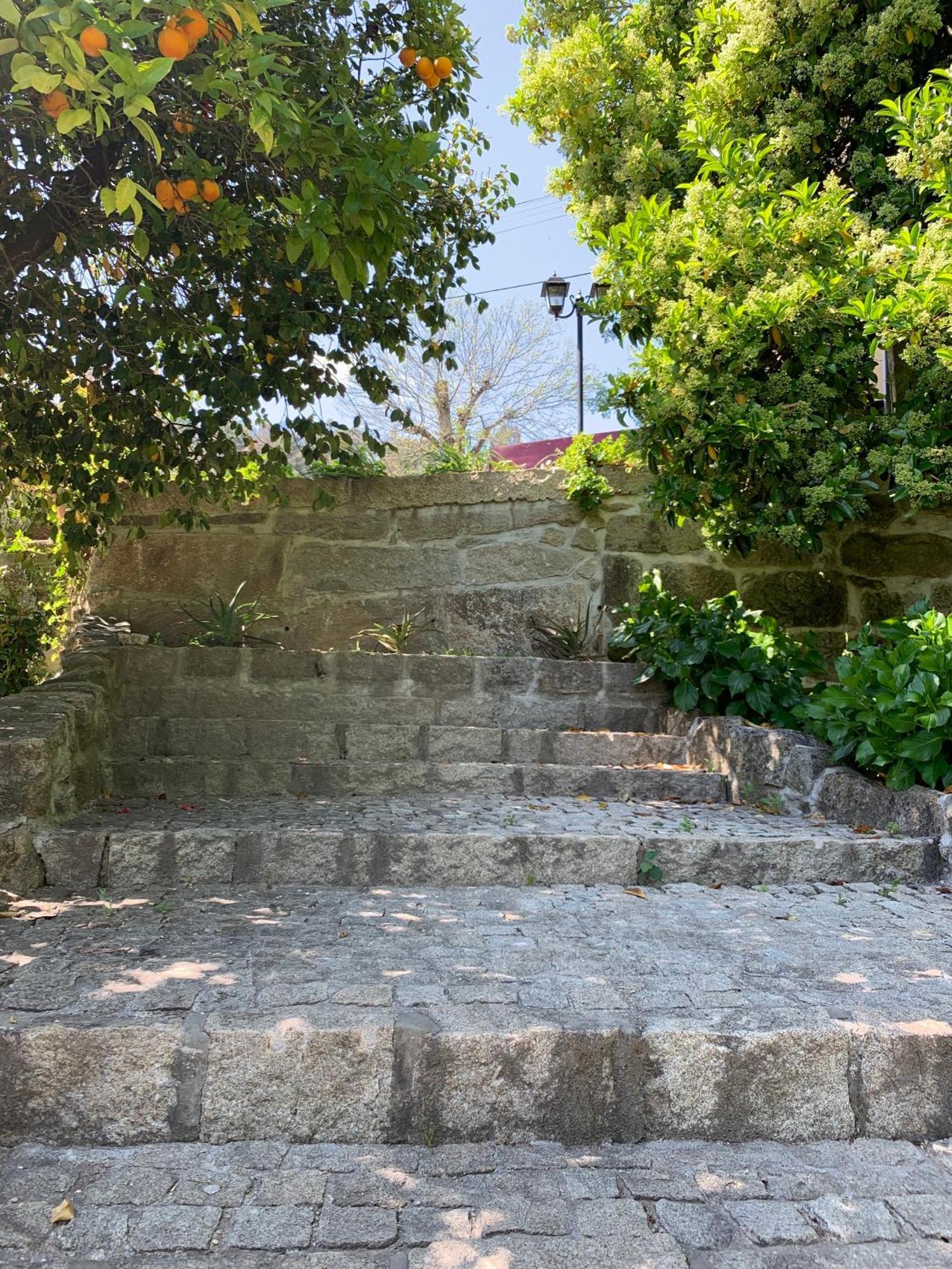 Quinta De Canhoes São Pedro do Sul Zewnętrze zdjęcie