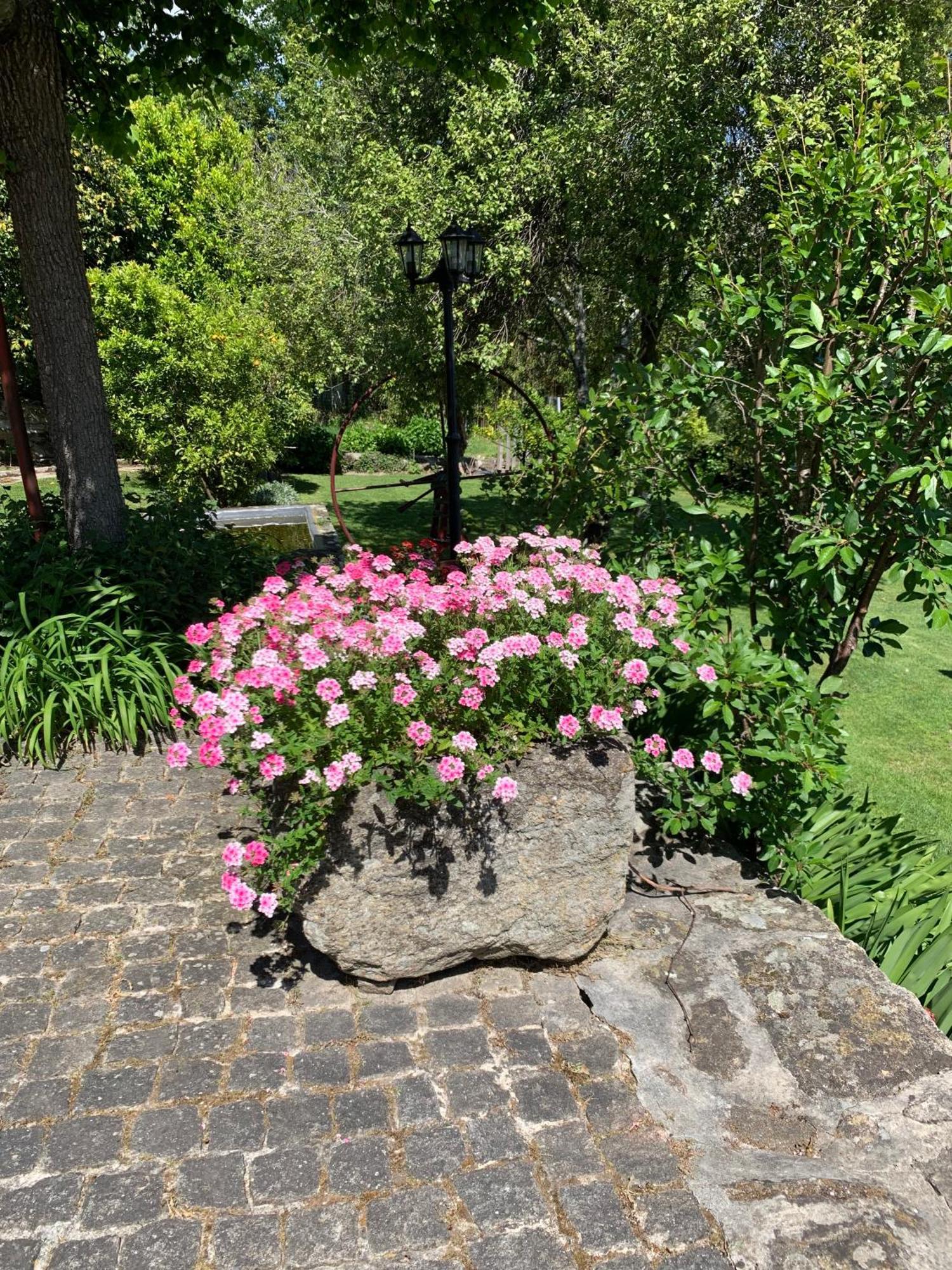 Quinta De Canhoes São Pedro do Sul Zewnętrze zdjęcie